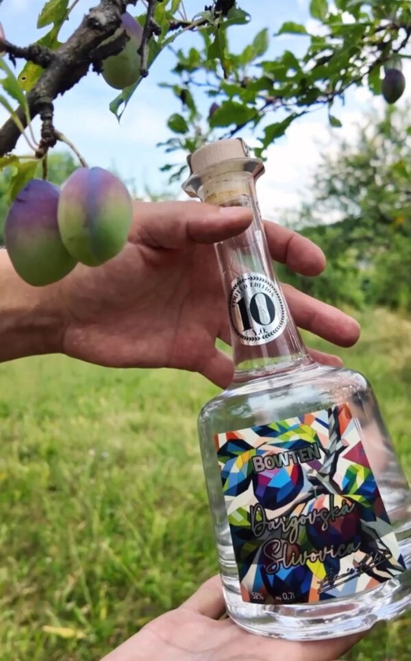 DARGOVSKÁ SLIVOVICA 10 ROČNÁ